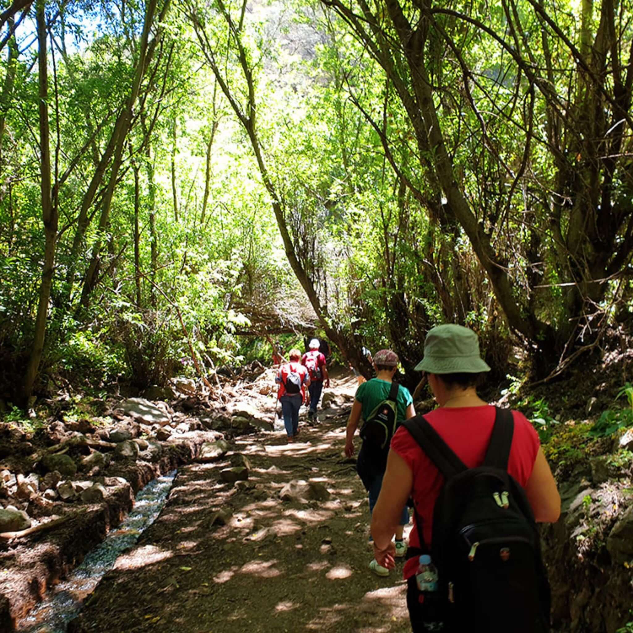 Hiking - Kestrel Canyon Route – Discover Gran Canaria