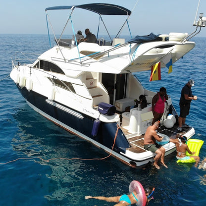 dolphin watching gran canaria - shared yacht - keeper one - blue m - passengers swimming