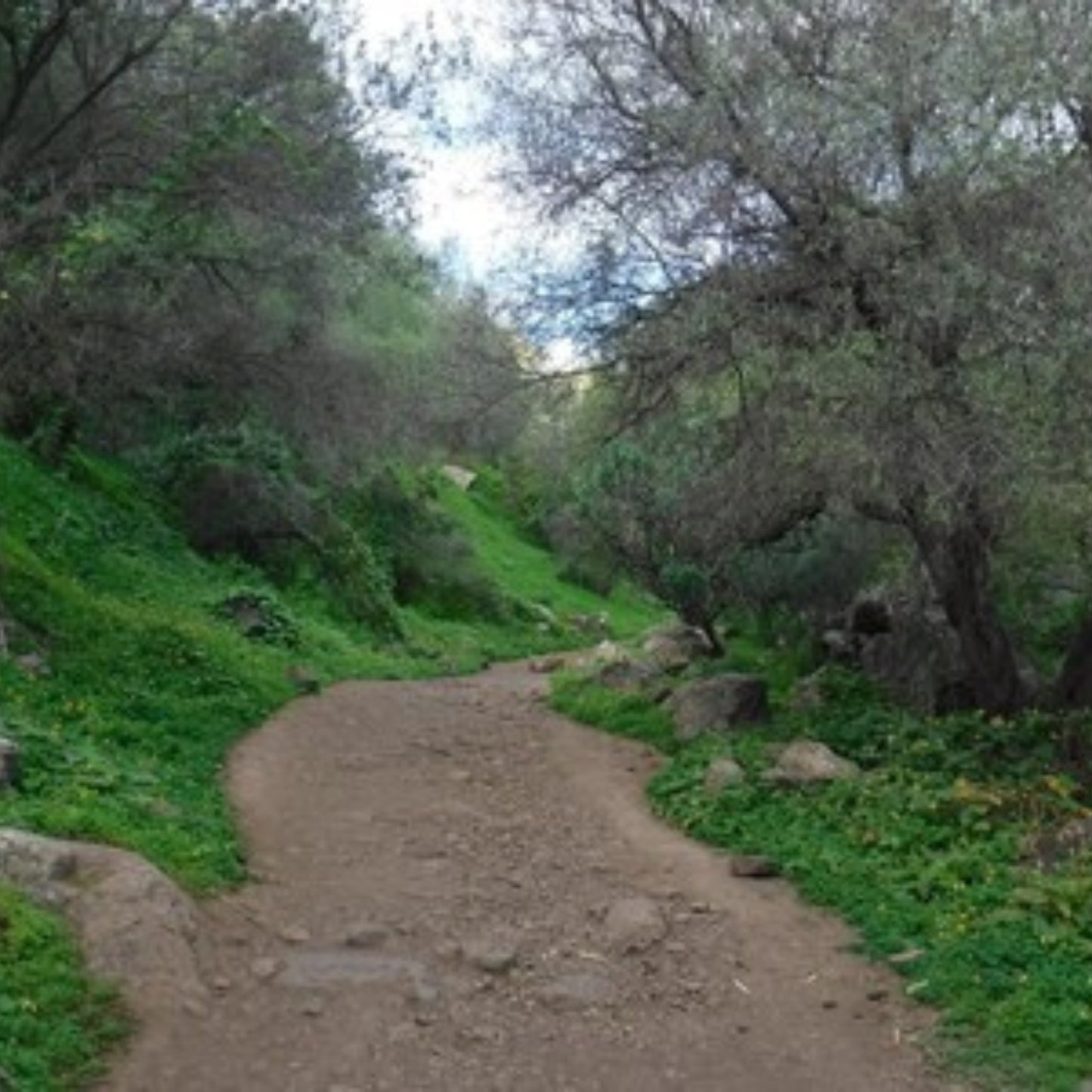 Hiking - Kestrel Canyon Route