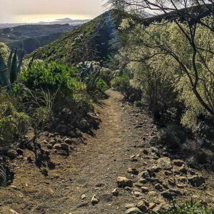 Hiking - Kestrel Canyon Route