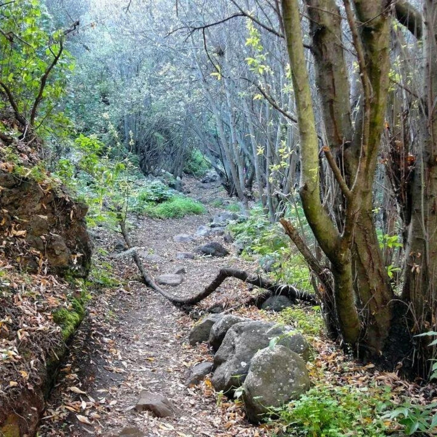 Hiking - Kestrel Canyon Route