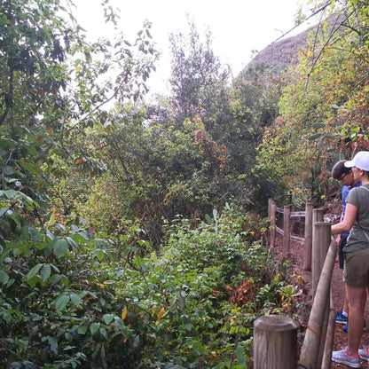 hiking at the laurel forest gran canaria