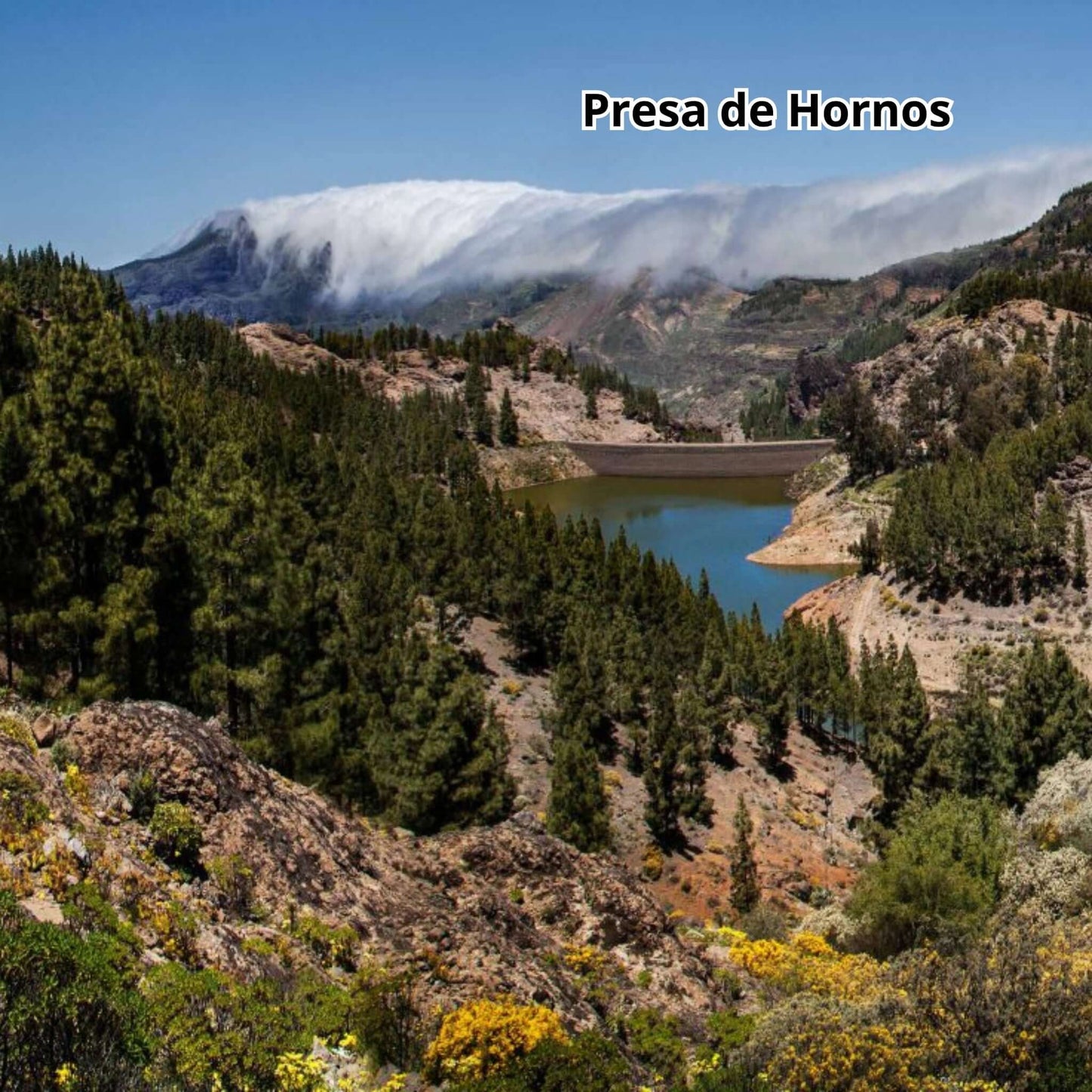 bus tour gran canaria - presa de hornos