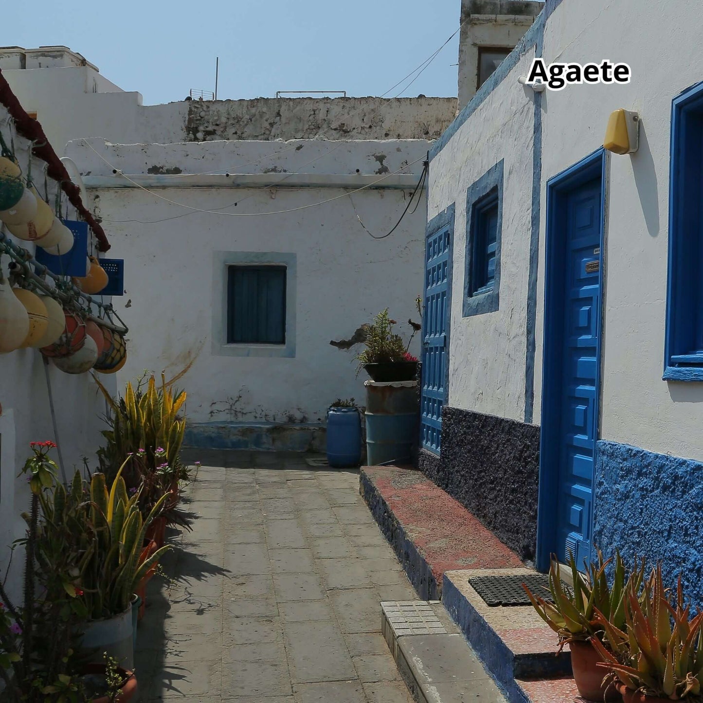 bus tour gran canaria - landscapes agaete