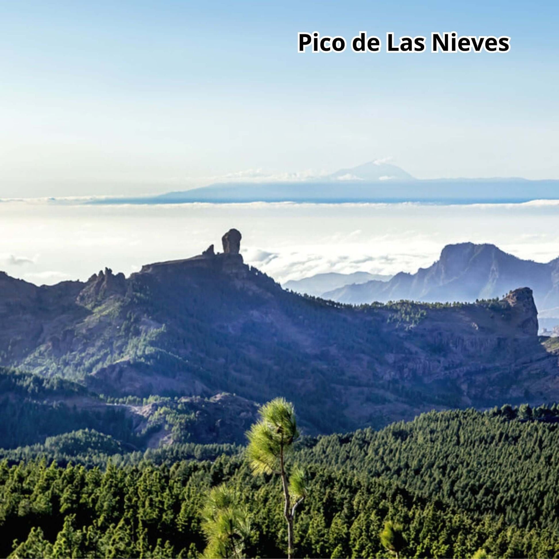 Pico de las nieves, gran canaria