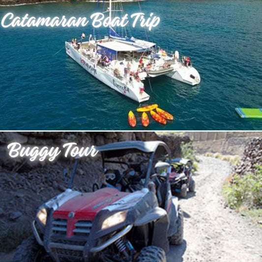Combo #2 - Catamaran Boat Trip & Buggy Tour
