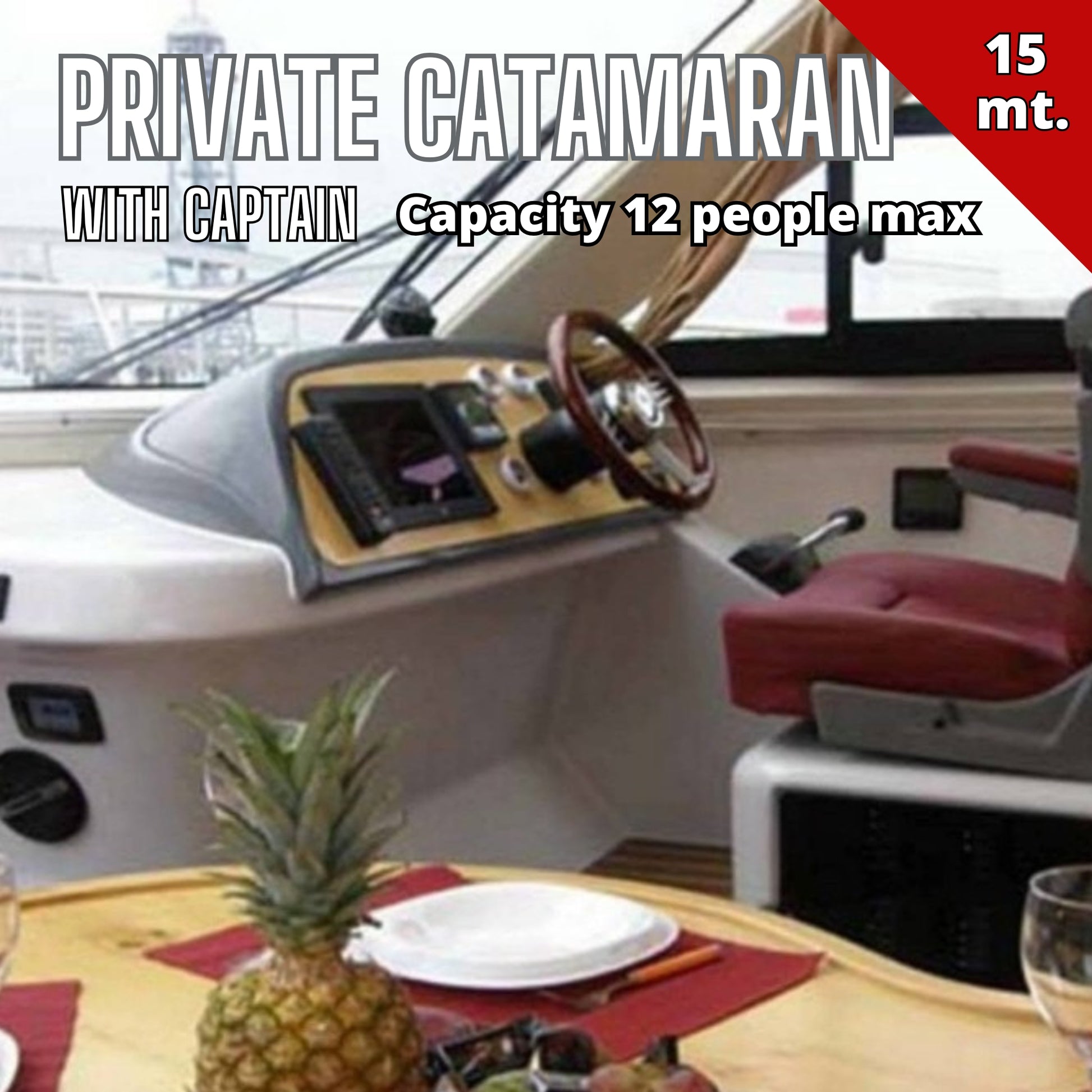 boat hire gran canaria - damiluvi - private catamaran rental - captain seat