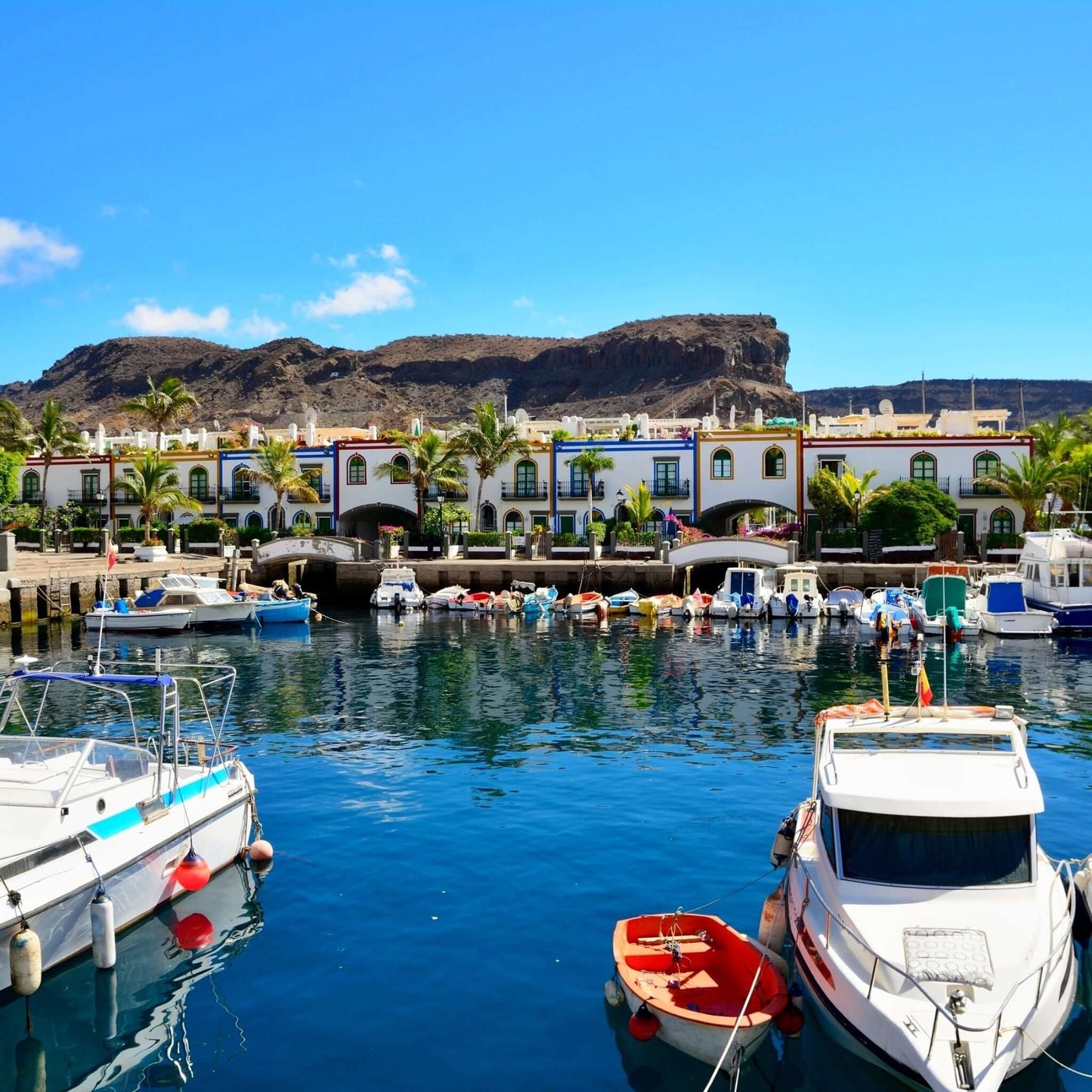 catamaran trip gran canaria 