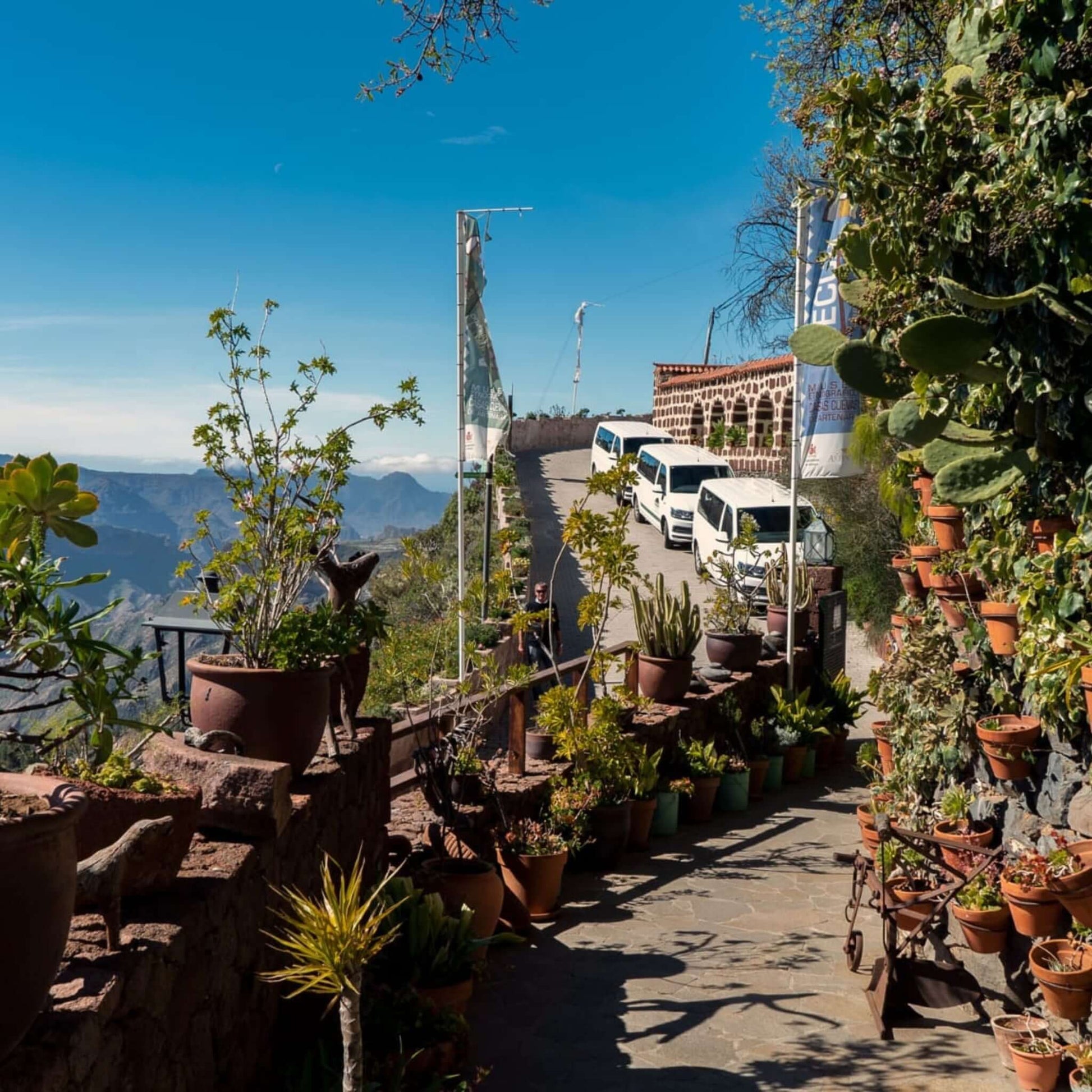 panorama vip tour gran canaria artenara